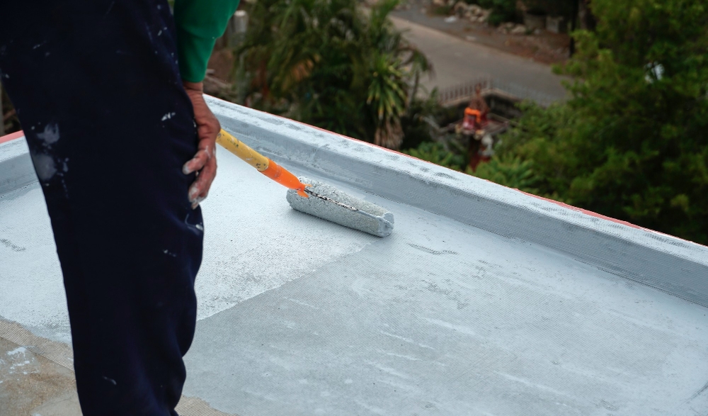 Roof Painting